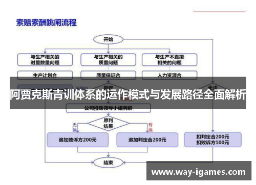 阿贾克斯青训体系的运作模式与发展路径全面解析