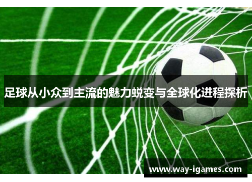 足球从小众到主流的魅力蜕变与全球化进程探析 足球从小众到主流的魅力蜕变与全球化进程探析