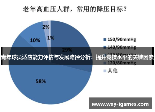 青年球员适应能力评估与发展路径分析：提升竞技水平的关键因素