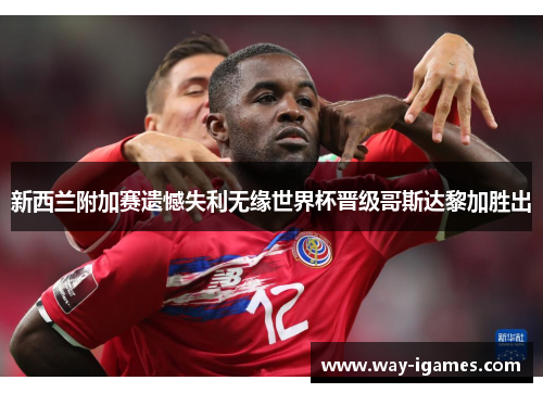 新西兰附加赛遗憾失利无缘世界杯晋级哥斯达黎加胜出 新西兰附加赛遗憾失利无缘世界杯晋级哥斯达黎加胜出